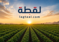 سكان الدلنج وكادوقلي يهجرون الزراعة بسبب الحرب
