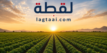 سكان الدلنج وكادوقلي يهجرون الزراعة بسبب الحرب