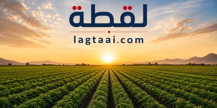 سكان الدلنج وكادوقلي يهجرون الزراعة بسبب الحرب