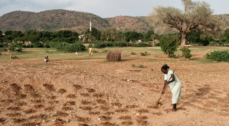 إطلاق مبادرة «سلام هيبان» في كاودا لوقف التصعيد وحماية المدنيين