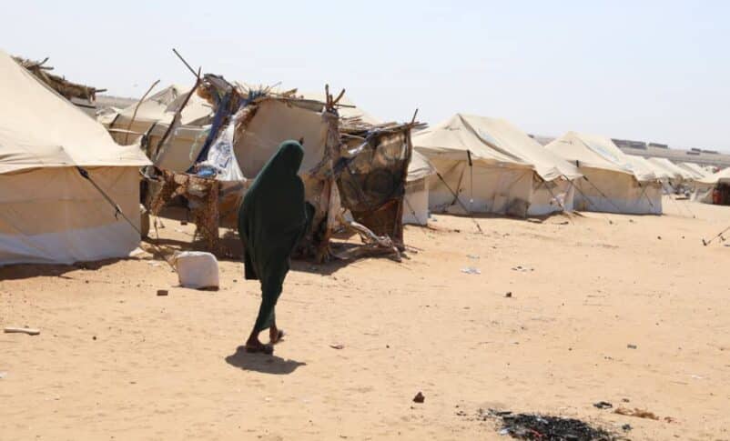 الأبيض تحت ضغط النار والنزوح.. معارك الغرب تدفع آلاف المدنيين نحو المجهول