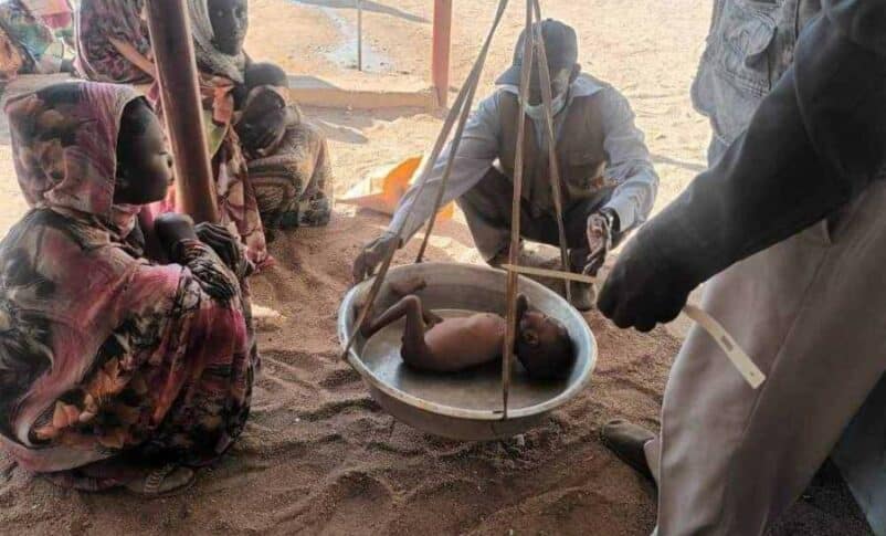 الجوع يصعد إلى جبل مرة.. تحذيرات من وفيات يومية ودارفور تقترب من حافة المجاعة