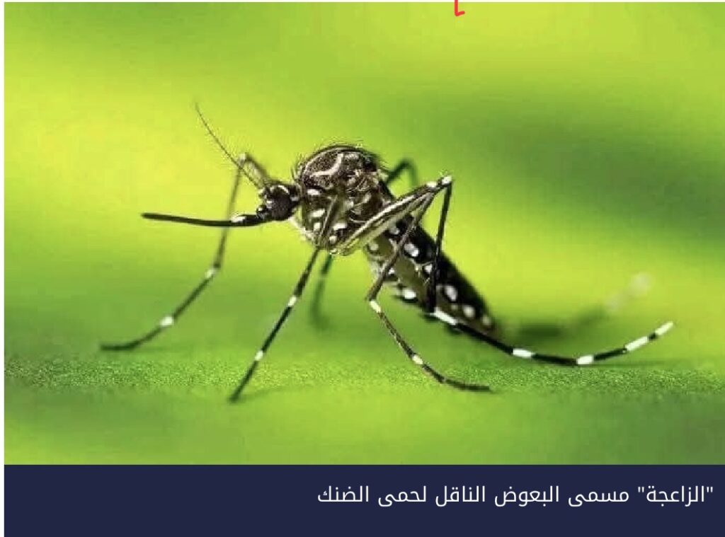 أرقام متباينة وضغط على المستشفيات.. أطباء يحذرون من تصاعد الحميات في سنار